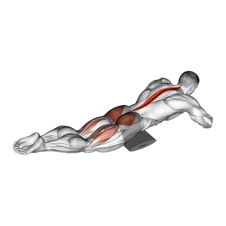 Reverse Back Extension on Floor exercise animation (Male)