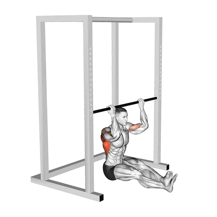 Seated Chin-up (low bar position) exercise animation (Male)