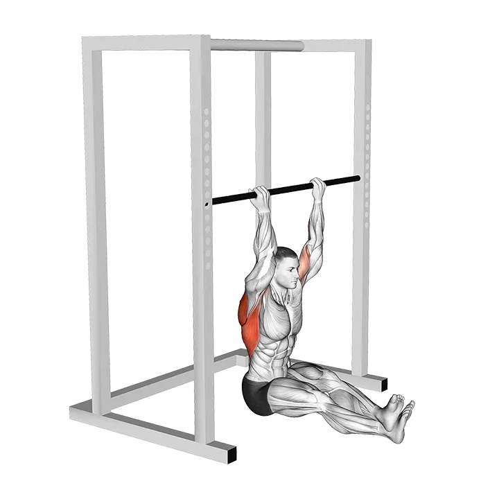 Seated Chin-up exercise animation (Male)