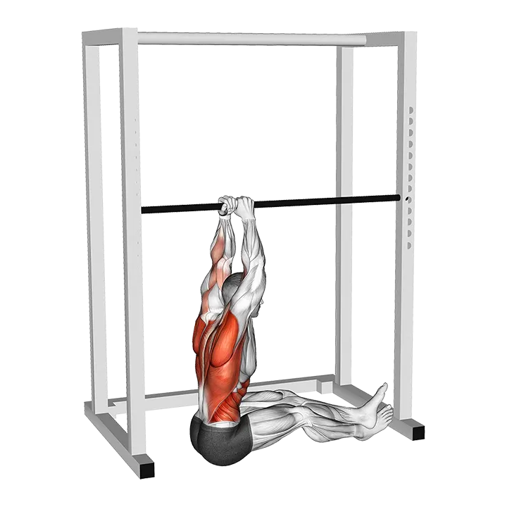 Seated Commando Pull-up exercise animation (Male)