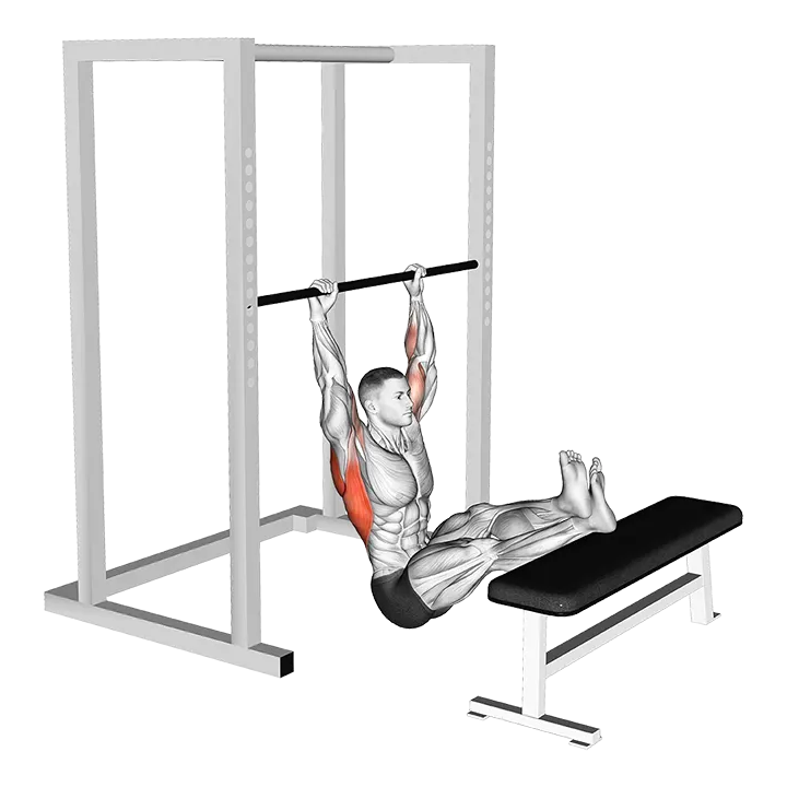 Seated Pull-up (legs elevated) exercise animation (Male)