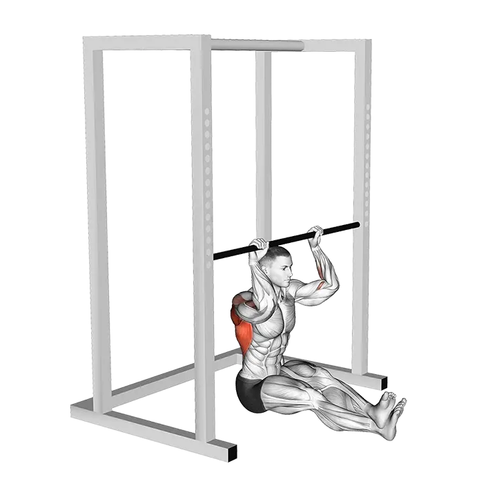 Seated Pull-up (low bar position) exercise animation (Male)