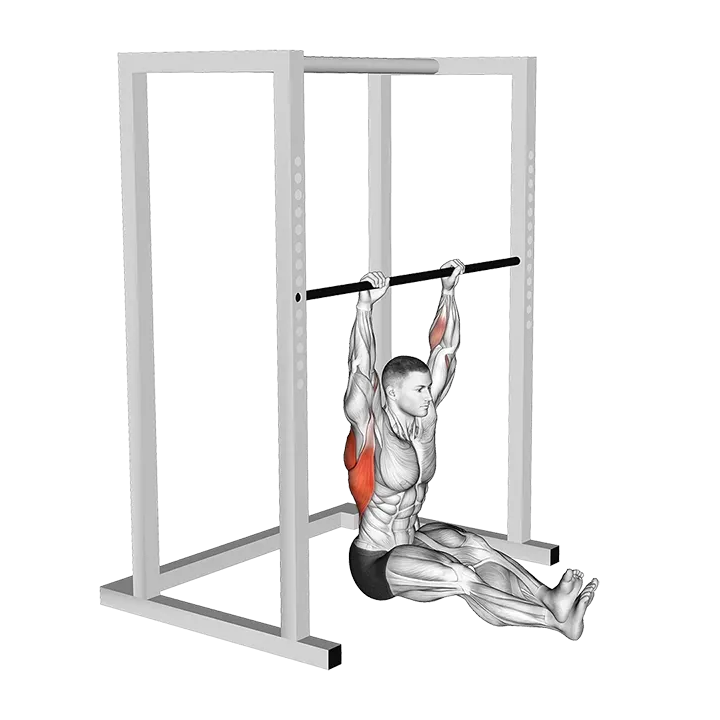 Seated Pull-up exercise animation (Male)