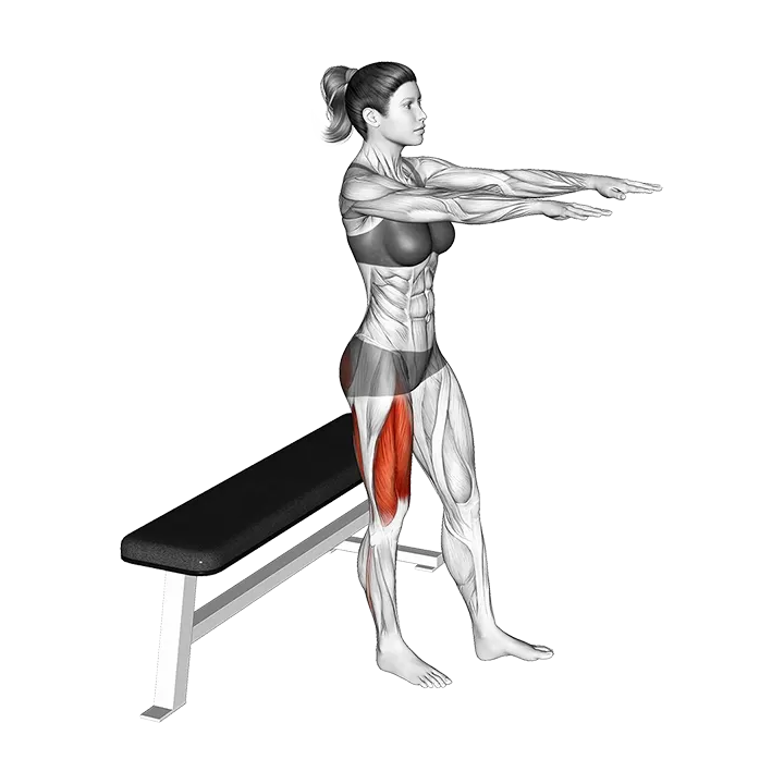 Single Leg Bench Squat exercise animation (Female)