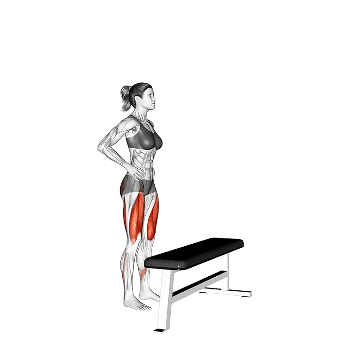 Single Leg Step-up on Bench exercise animation (Female)