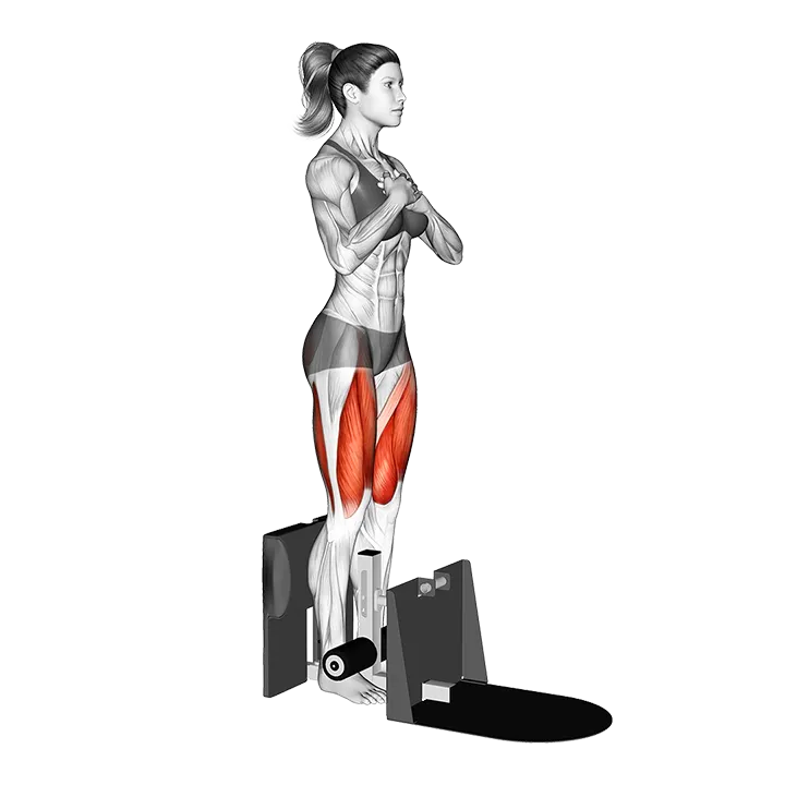 Supported Squat exercise animation (Female)
