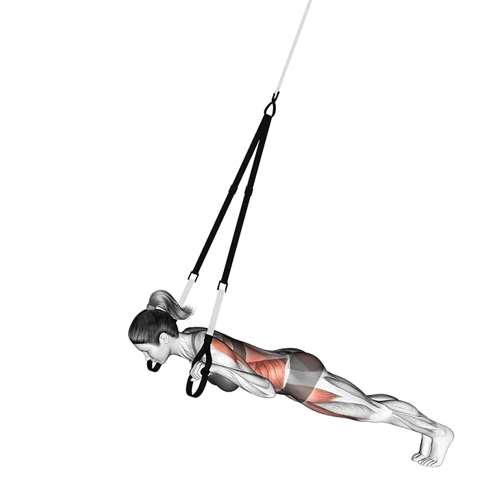 Suspender Alternate Superman exercise animation (Mujer)