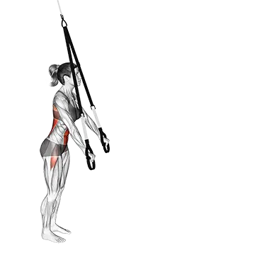 Suspender Rollout (VERSION 2)