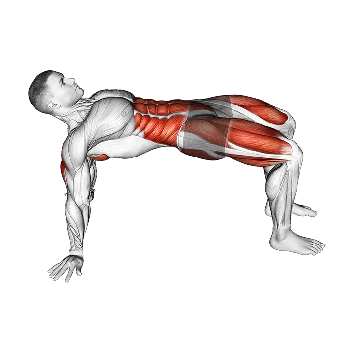 Table Top Bridge Rotation exercise animation (Male)