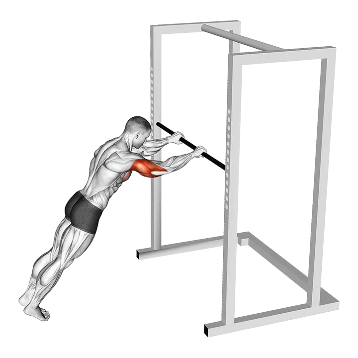 Triceps Press (high bar position) exercise animation (Male)