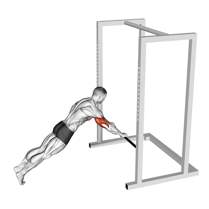 Triceps Press (low bar position) exercise animation (Male)