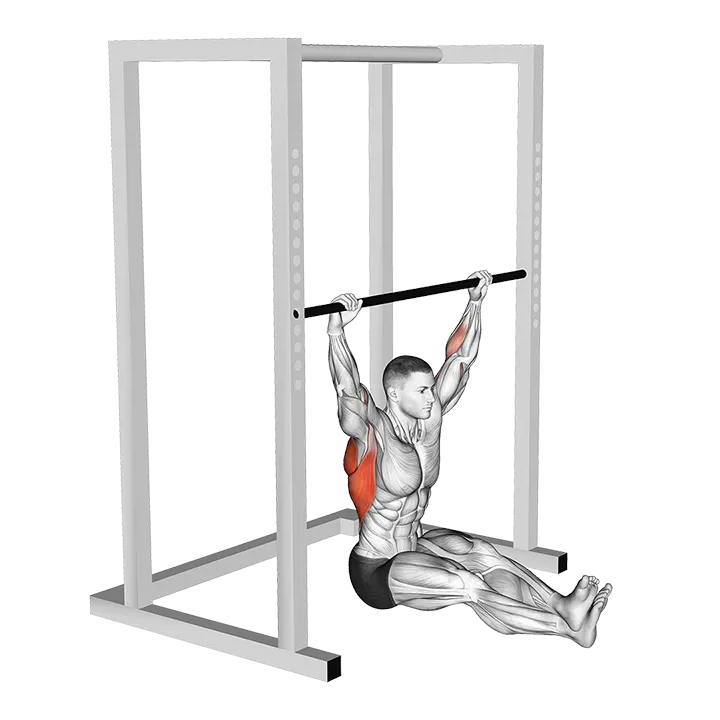 Wide Seated Pull-up exercise animation (Male)