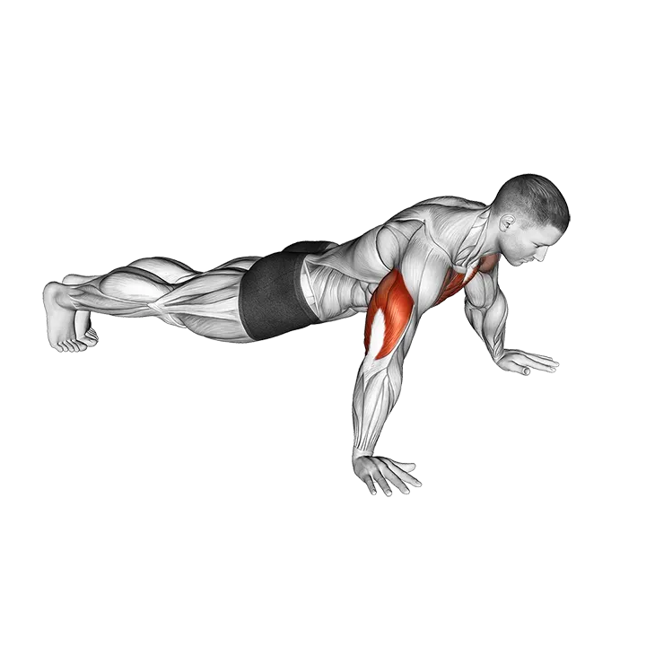 Wide to Narrow Push-up exercise animation (Male)