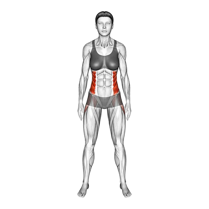 Standing Side Bend (VERSION 2) exercise animation (Female)