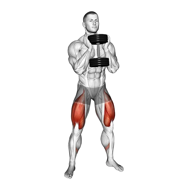 Dumbbell Goblet 2 sec Hold Squat exercise animation (Male)