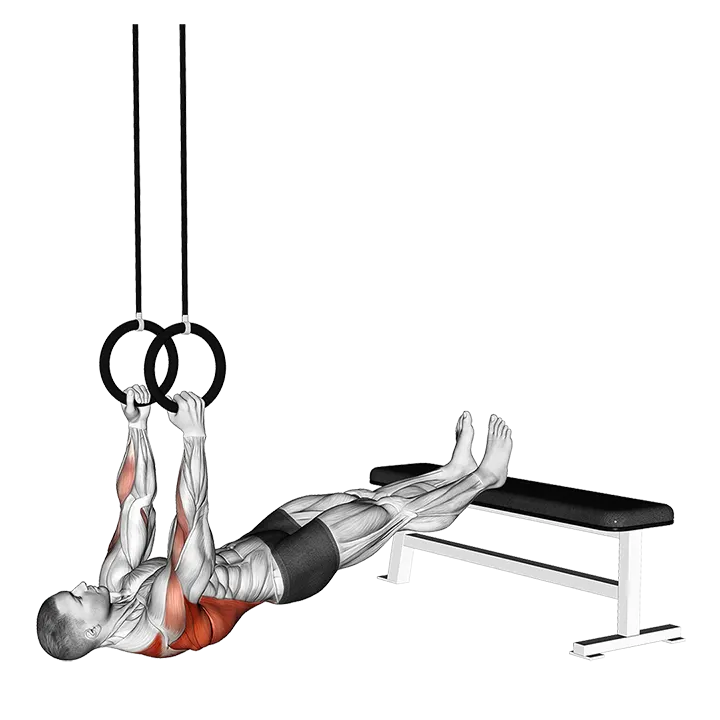 Ring Elevated Row exercise animation (Male)