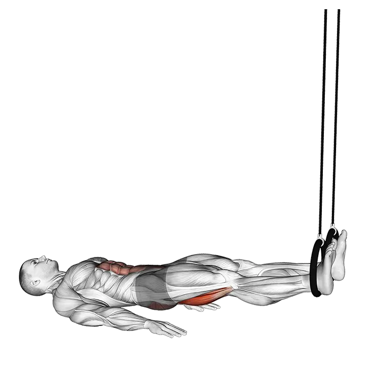 Ring Leg Curl exercise animation (Male)