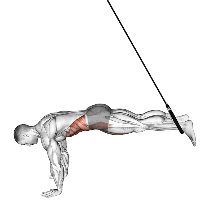 Ring Reverse Ab Rollout exercise animation (Male)