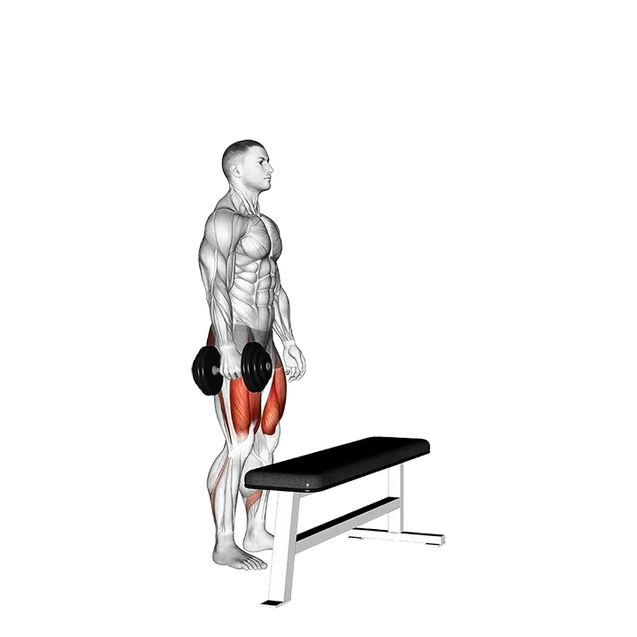 Dumbbell Single Leg Step-up on Bench exercise animation (Male)