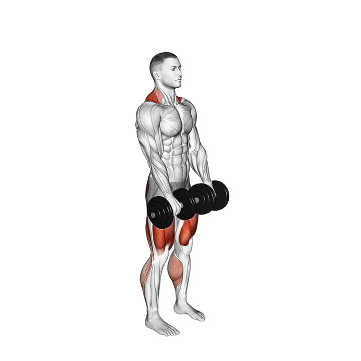 Dumbbell RDL to Jump Shrug exercise animation (Male)