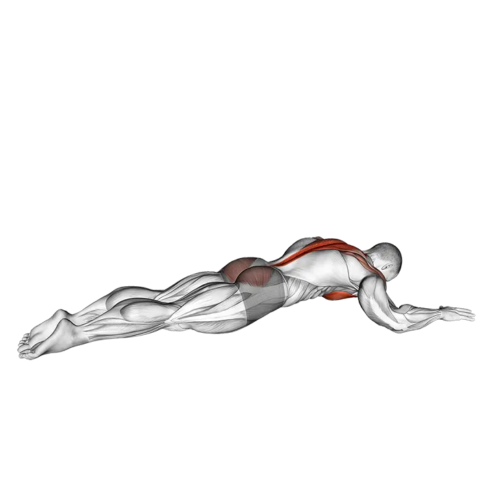 Superman Chest Stretch exercise animation (Male)