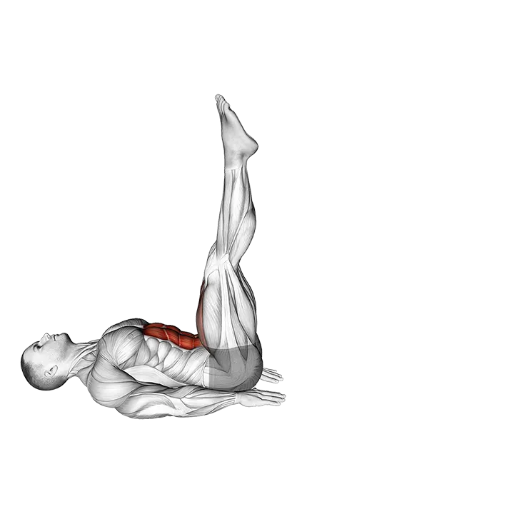 Alternate Leg Raise exercise animation (Male)