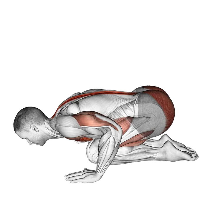 Push-up in Child Pose exercise animation (Male)