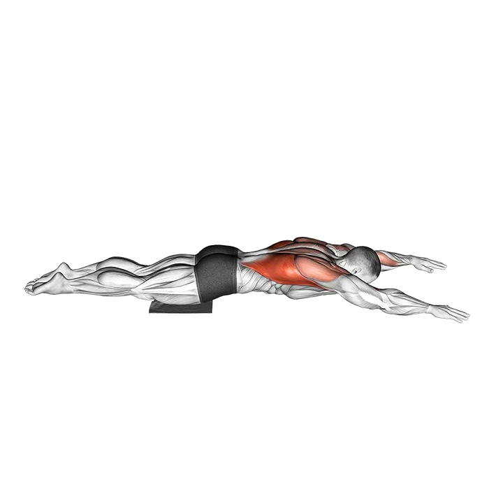 Sliding Floor Pulldown on Towel (VERSION 2) exercise animation (Male)