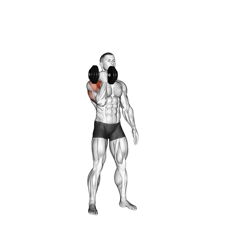 Dumbbell Standing Single Arm Arnold Press exercise animation (Male)