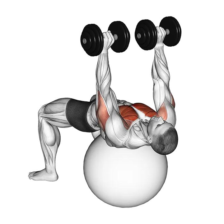 Dumbbell Alternate Chest Press on Stability Ball exercise animation (Male)