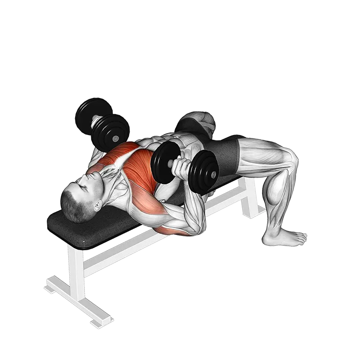 Dumbbell Rotational Grip Bench Press exercise animation (Male)