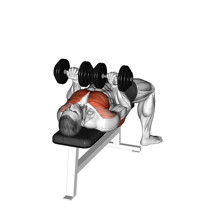 Dumbbell Reverse Grip Squeeze Bench Press exercise animation (Male)