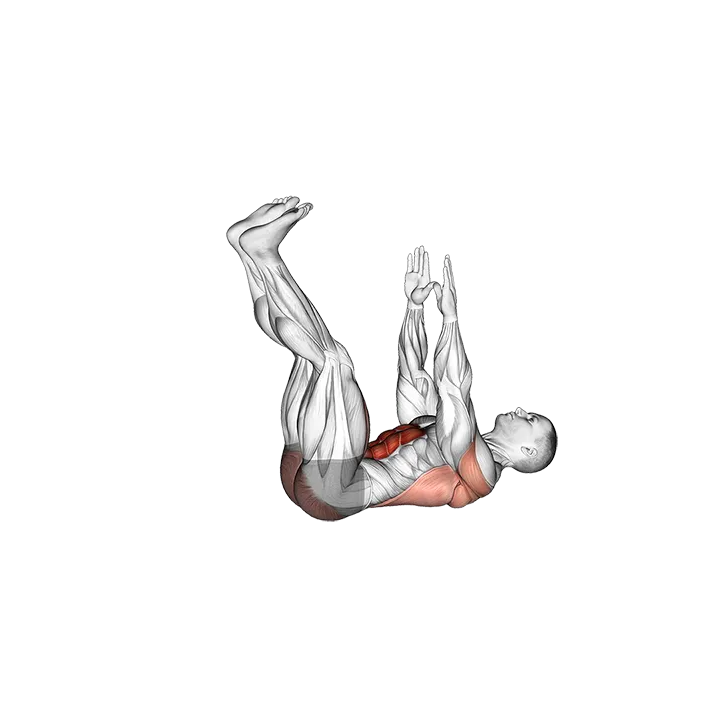 Straight Leg Dead Bug exercise animation (Male)