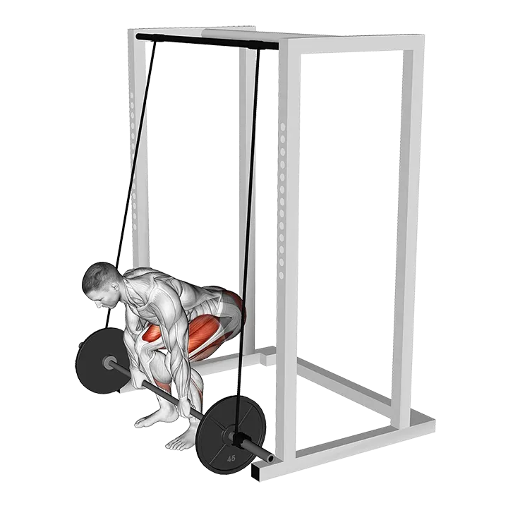 Barbell Band Assisted Deadlift exercise animation (Male)
