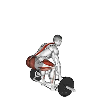 Trap bar Banded Deadlift