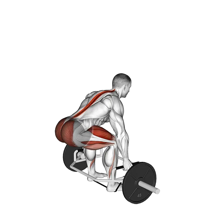Trap bar Banded Deadlift exercise animation (Male)