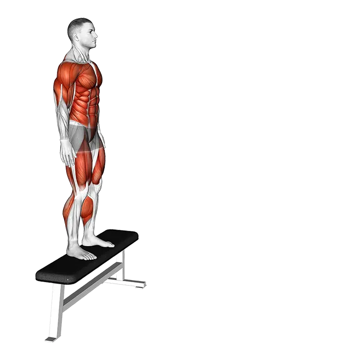 Depth Jump exercise animation (Male)