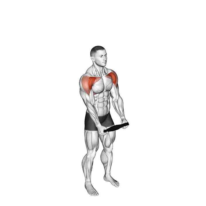 Weighted Plate Standing High Front Raise exercise animation (Male)