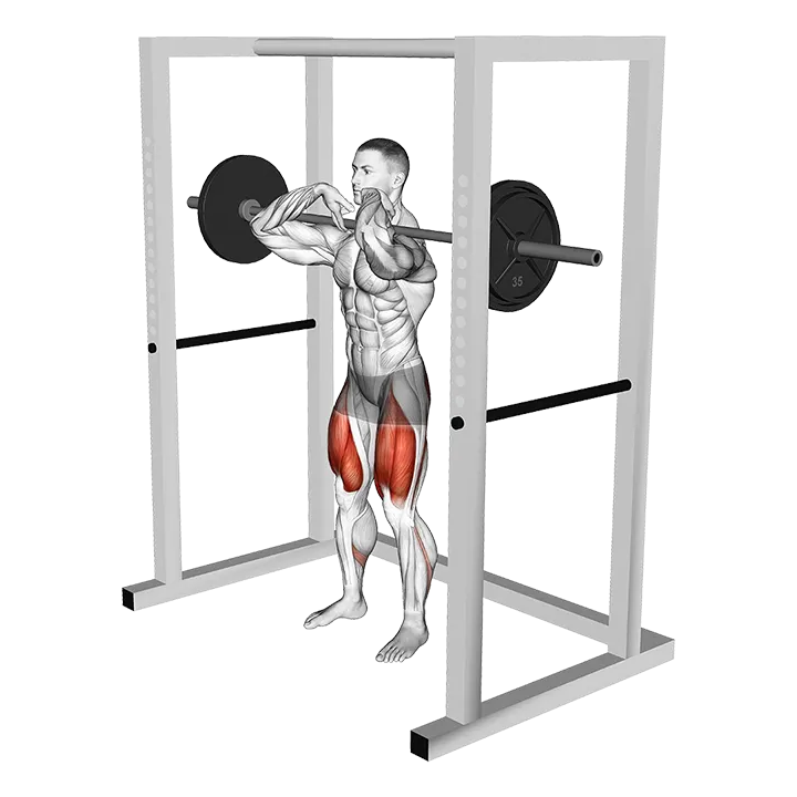 Barbell Pin Front Squat exercise animation (Male)