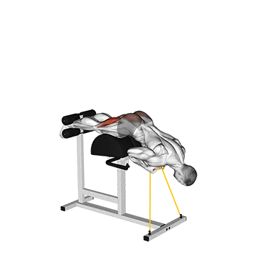 Banded Glute Ham Raise (VERSION 2)