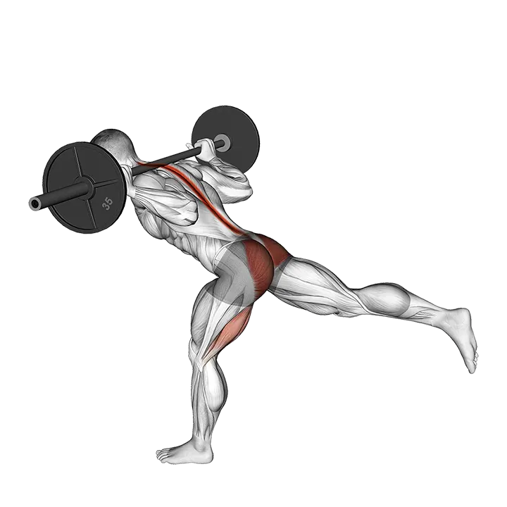 Barbell Single Leg Good Morning exercise animation (Male)