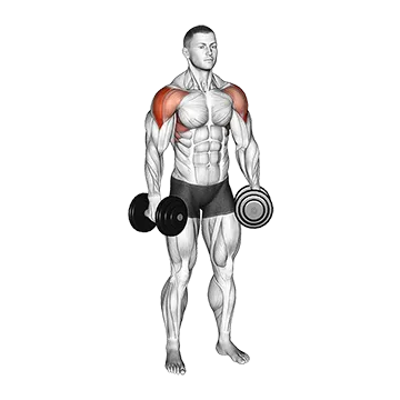Dumbbell Alternate Lateral Raise