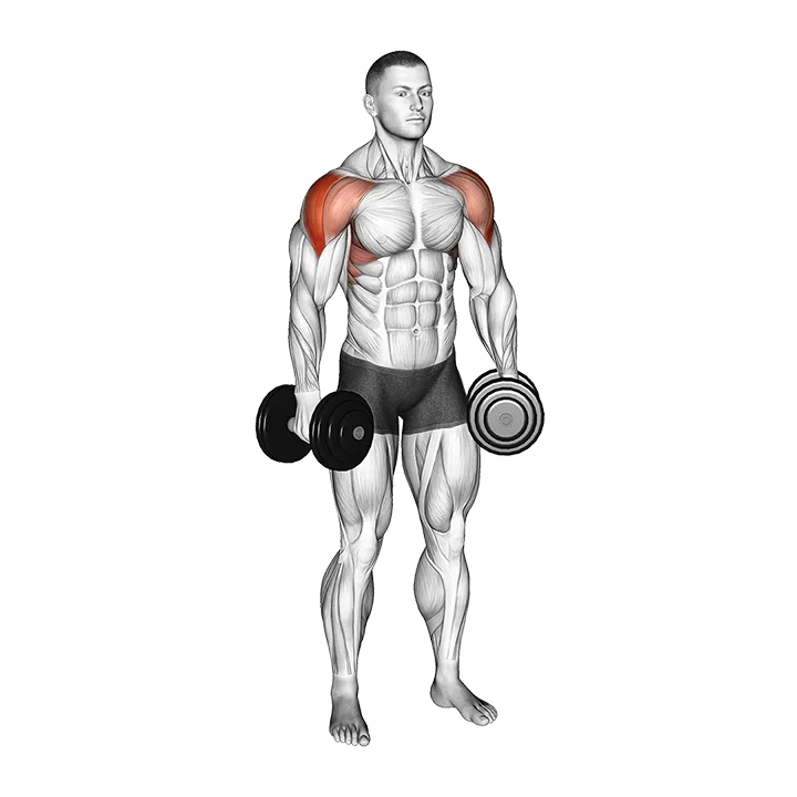 Dumbbell Alternate Lateral Raise exercise animation (Male)