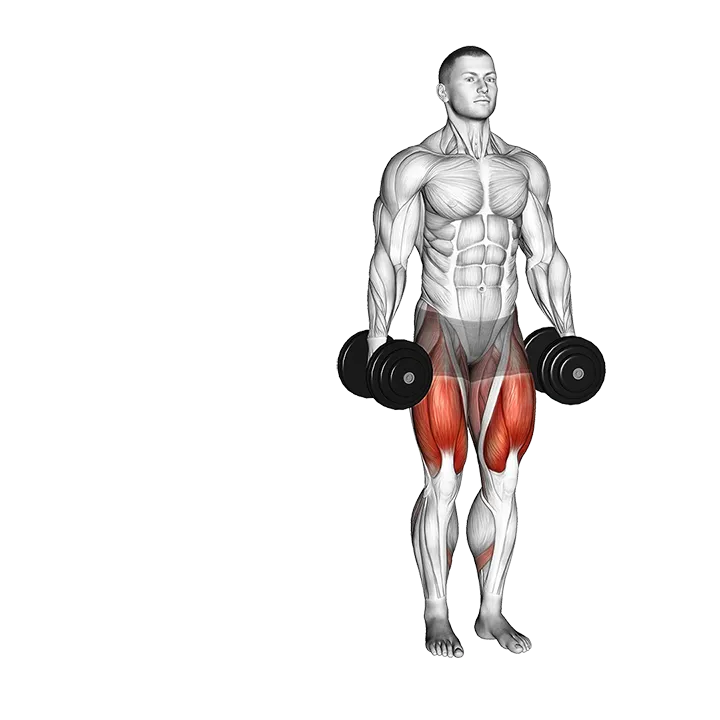 Dumbbell Lateral Lunge exercise animation (Male)