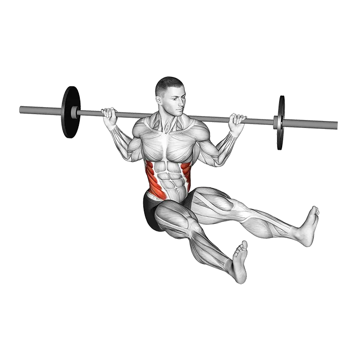 Barbell Sitting on Floor Oblique Twist exercise animation (Male)