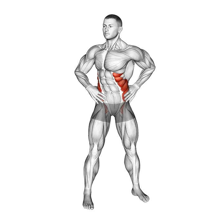 Bodyweight Standing Oblique Twist exercise animation (Male)