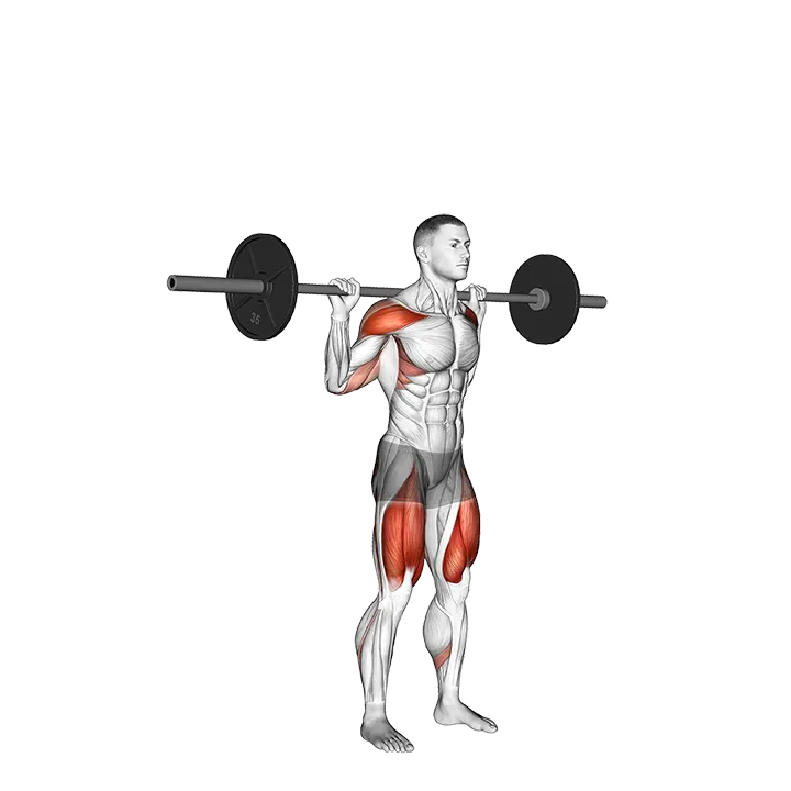 Barbell Behind the Back Push Press exercise animation (Male)