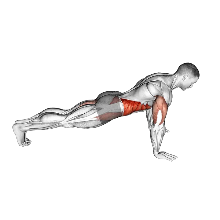 Push-up to Side Plank (VERSION 2) exercise animation (Male)