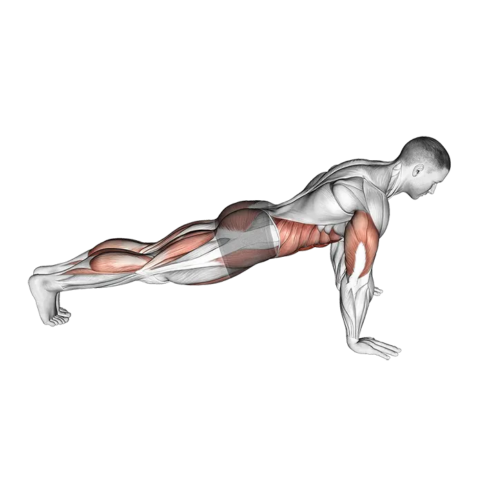Push-up with Knee Drive exercise animation (Male)