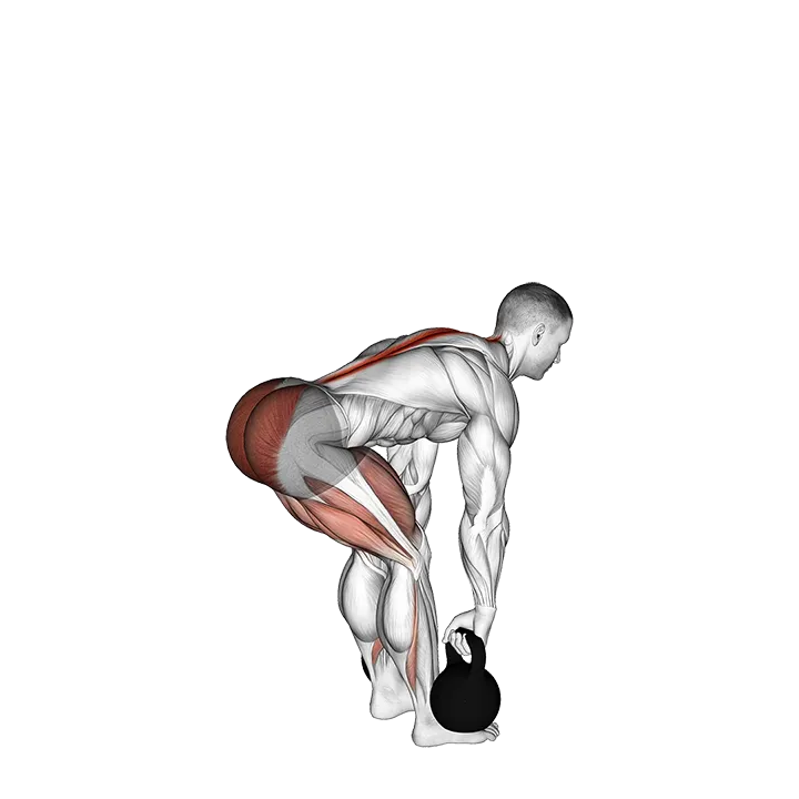 Kettlebell Romanian Deadlift exercise animation (Male)